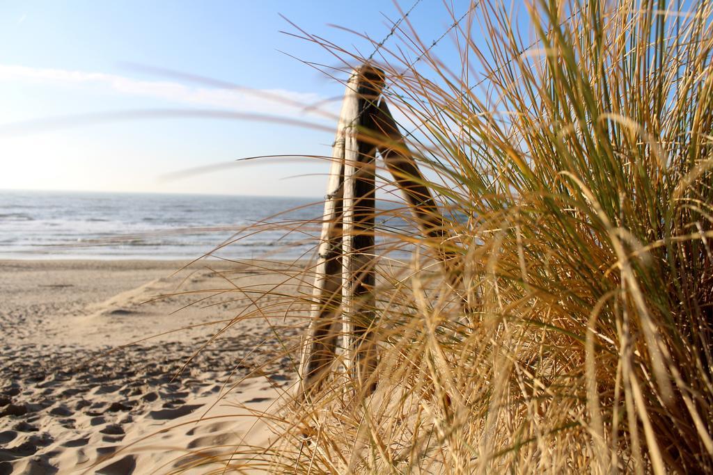 Hofje Van Maas Zandvoort Exterior foto